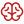 Brain