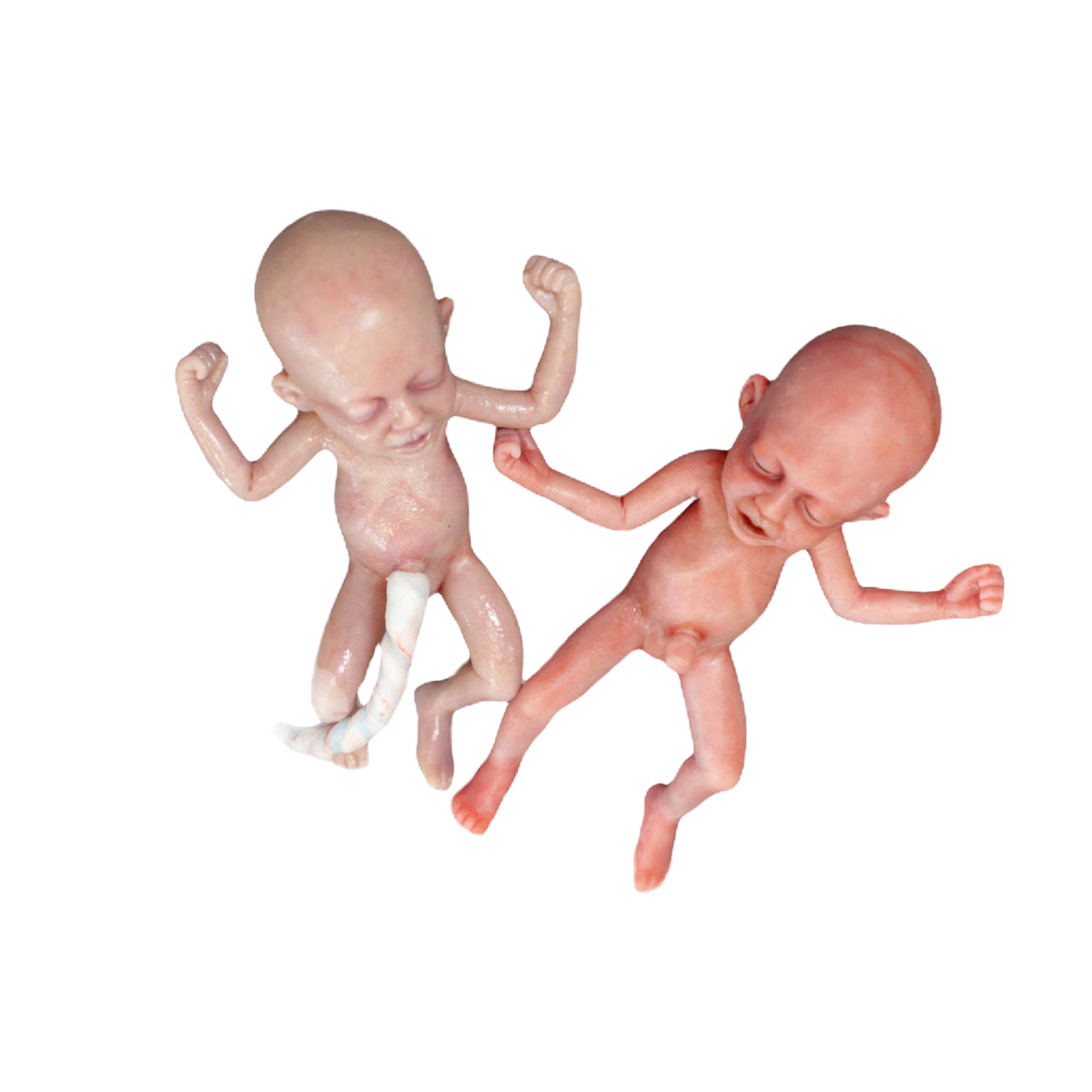 SimBODIES-Advanced-28-Week-Pre-Term-Manikin-1_edited_edited_edited_edited
